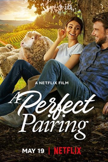 Download A Perfect Pairing (2022) Dual Audio {Hindi-English} Movie 480p | 720p | 1080p WEB-DL ESub